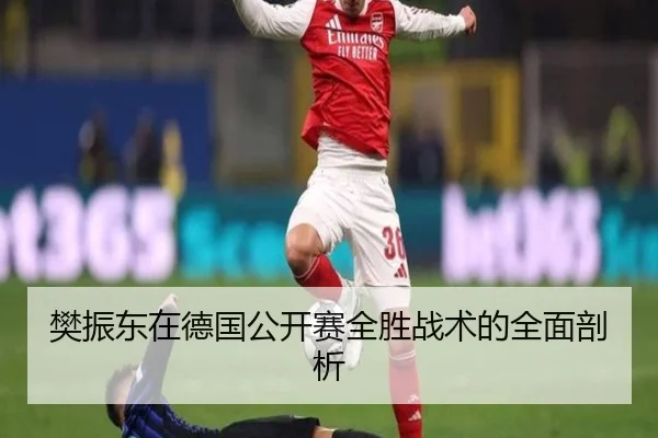 樊振东在德国公开赛全胜战术的全面剖析